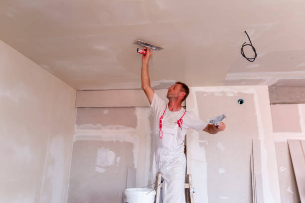 Best Drywall Removal and Disposal  in Fort Myers Shores, FL